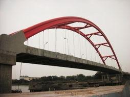 扬州施桥今日头条,今日头条聚焦乡村振兴新篇章