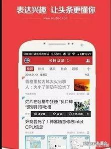 自媒体头条认证领域,如何打造权威发声平台