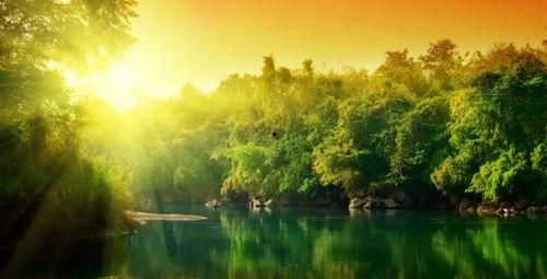 明星美景照片大全,明星与绝美风光的视觉盛宴