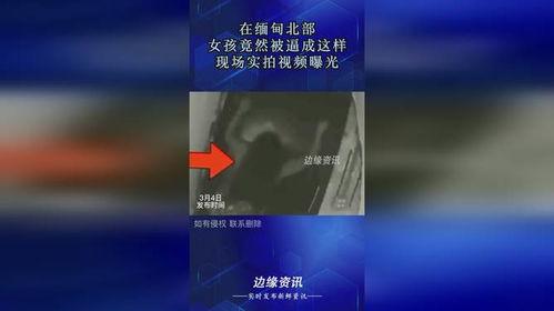 缅甸女孩子真实爆料视频,真实生活背后的心酸与挑战