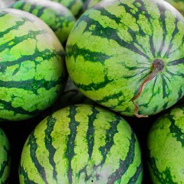 海宁郭店吃瓜,瓜香四溢，品味夏日清凉时光