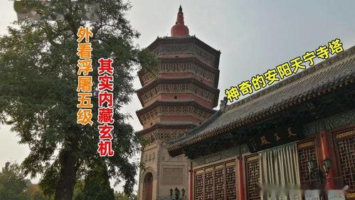 微头条文化古迹,微头条带你领略文化古迹魅力