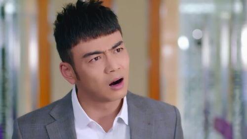 高文博明星,星光璀璨的演艺之路