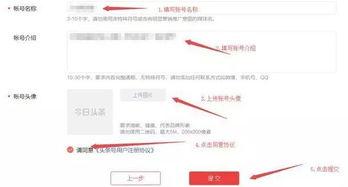 头条怎么开通教学视频,头条教学视频开通全攻略