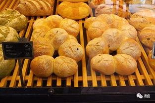 网红面包哪家好卖