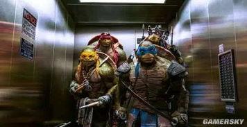 网红变异神龟视频,揭秘神秘生物的奇幻之旅