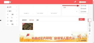 怎么查看好友的头条号,轻松查看好友头条号的秘密方法！