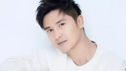 985毕业的明星,揭秘985毕业明星的璀璨人生”