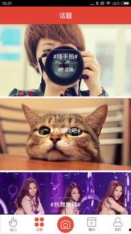 泥娃邻居爆料视频大全,揭秘生活百态，笑料横生